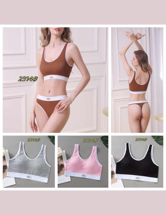 Comfortable Cotton Lingerie Set – Seamless Bra & Briefs with Adjustable Pads-2314