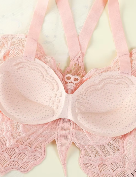 Butterfly Embroidered Lace Bralette – Elegant Hollow Out Backless Crop Top-556