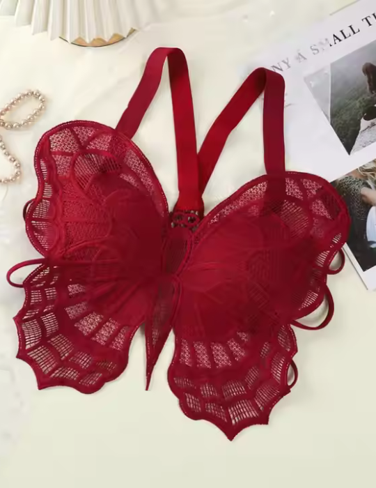 Butterfly Embroidered Lace Bralette – Elegant Hollow Out Backless Crop Top-556