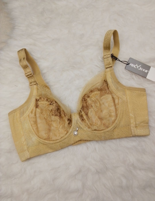 Full-Coverage Net Bra – Wired, Non-Padded | BelleNisa
